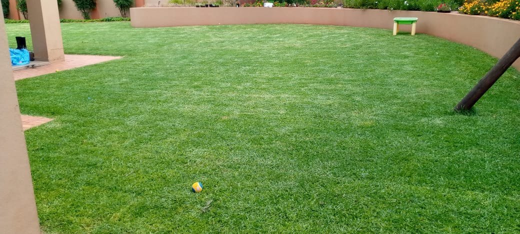 A wide, freshly mown backyard lawn with clean edges against a boundary wall