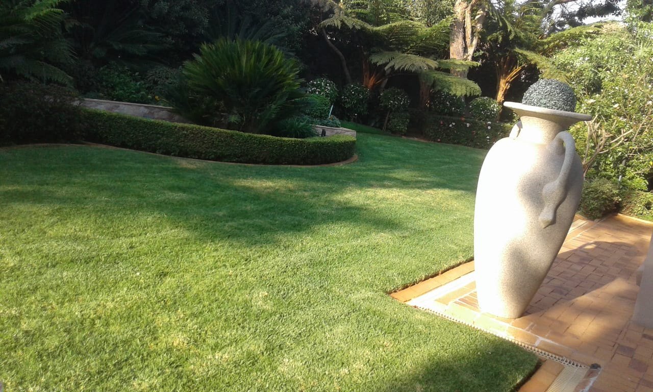A freshly mown, neatly edged lawn beside a landscaped garden bed